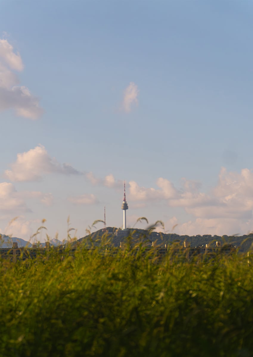 El césped verde y la Torre de Namsan 1