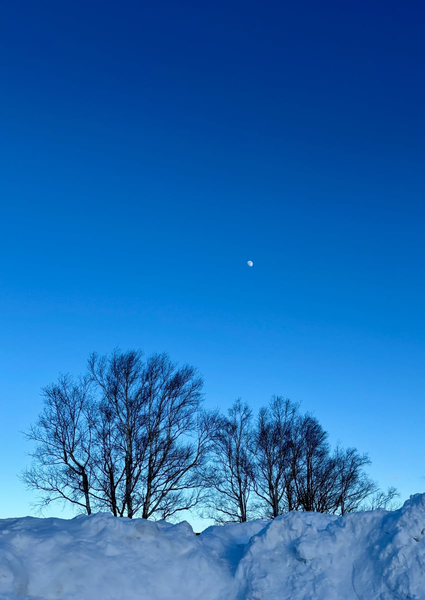 Winter Moon