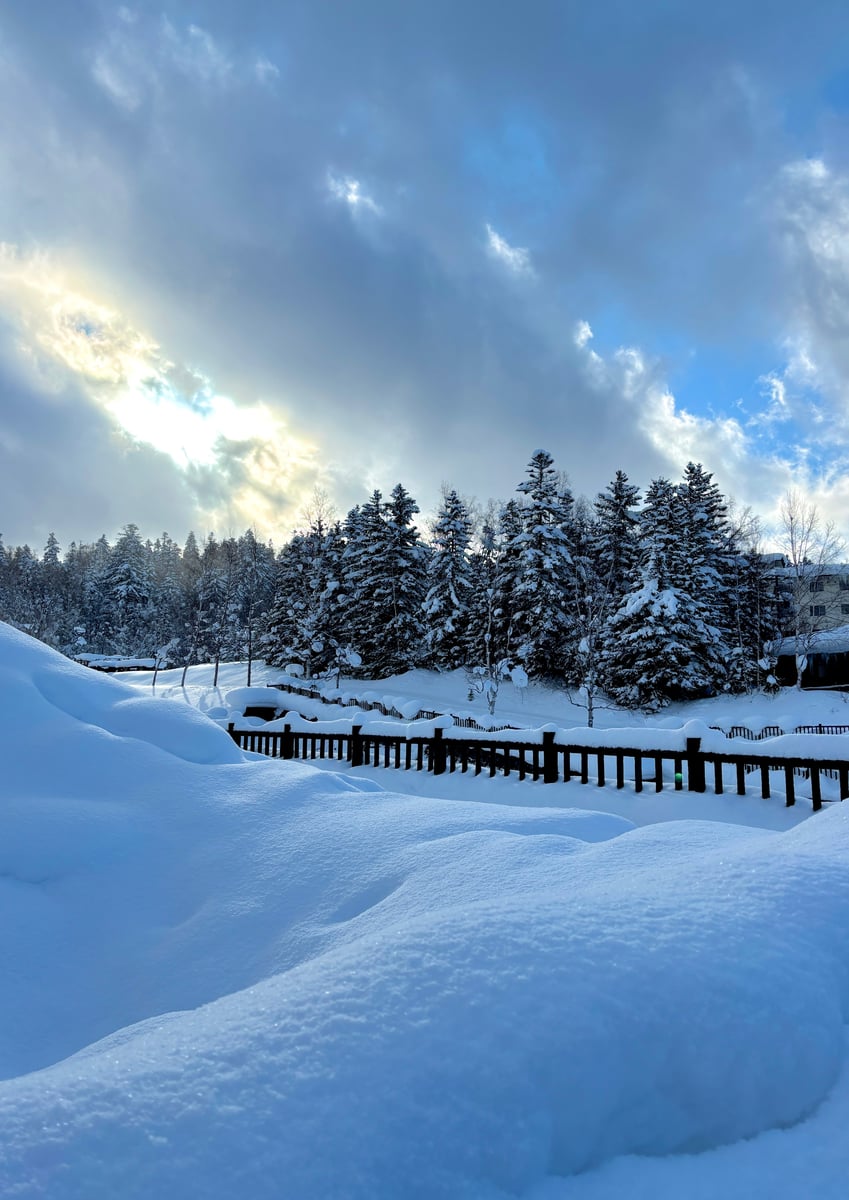 A Snow-White Winter