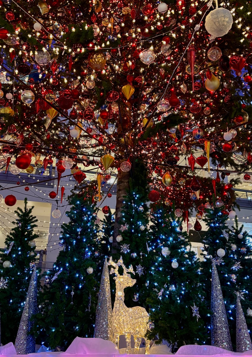 Weihnachten in Sapporo
